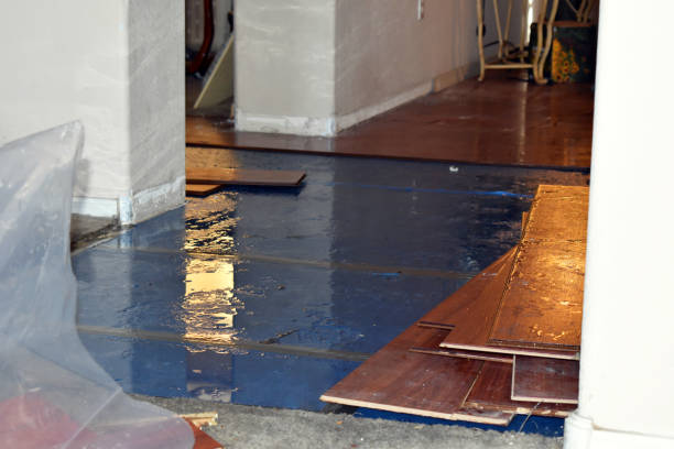 Professional Water Damage Restoration technician working in DuPont, WA