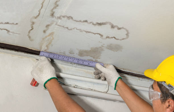 Reliable Water Damage Restoration contractor in DuPont, WA by Water Damage Irwin